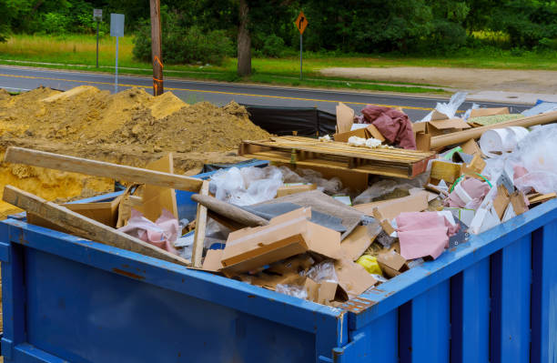 Best Carpet Removal and Disposal  in Mcallen, TX